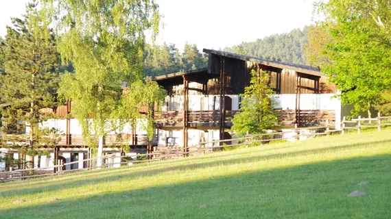 Waldhotel Bächlein | Bavyera - Yukarı Franconia - Mitwitz