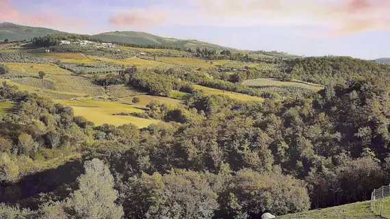 Fattoria Poggio al Sorbo | Toskana - Siena (vilayet) - Castellina in Chianti