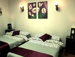 Cairo International Hostel | Kahire (ve civarı) - Kahire - Kahire Şehir Merkezi