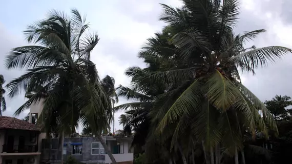 Bedspace Beach | Southern Province - Galle Bölgesi - Unawatuna