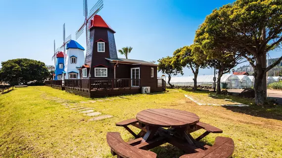 Olle Windmill Pension and Guesthouse | Jeju Adası - Seogwipo - Jungmun