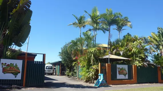 JJs Backpackers Hostel | Queensland - Cairns - Cairns (ve civarı) - Cairns North