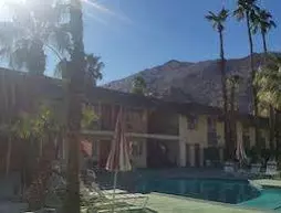 Desert Lodge | Kaliforniya - Imperial County - Palm Springs (ve civarı) - Palm Springs