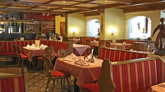 Hotel Alpina | Tirol - Schwaz District - Schwaz (ve civarı) - Ried im Zillertal