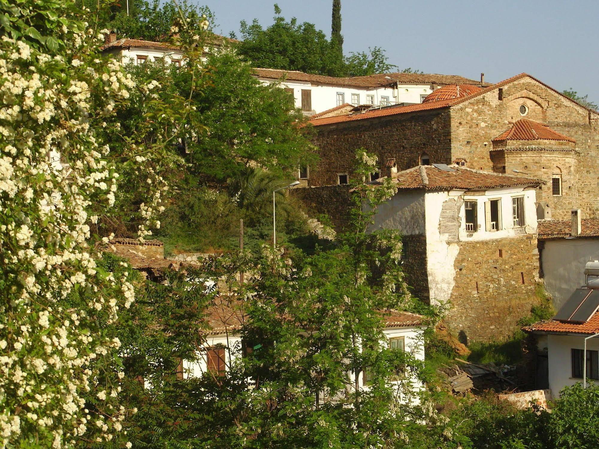 Terrace Houses Sirince - Fig, Olive and Grapevine