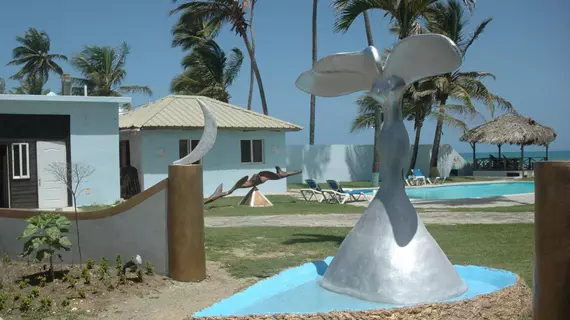 Kite Dreem Hotel | Puerto Plata (ili) - Puerto Plata (ve civarı) - Cabarete