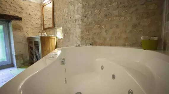 Manoir de la Blonnerie | Nouvelle-Aquitaine - Vienne (bölge) - Velleches