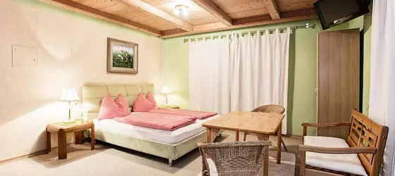 Berghotel Pointenhof | Tirol - Kitzbühel District - Kitzbuehel (ve civarı) - Sankt Johann in Tirol