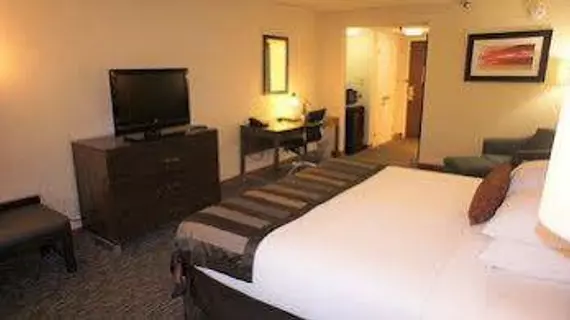 Wingate by Wyndham - Chattanooga | Tennessee - Chattanooga (ve civarı) - Chattanooga