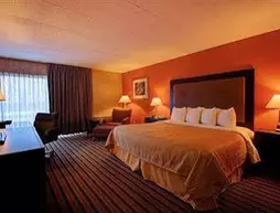 Quality Inn Windsor Locks | Connecticut - Hartford (ve civarı) - Windsor Locks