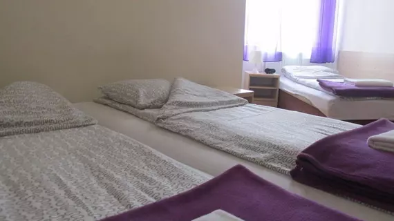 Hostel Euro-Room | Küçük Polonya Voyvodalığı - Krakow (ve civarı) - Krakow - Stare Miasto