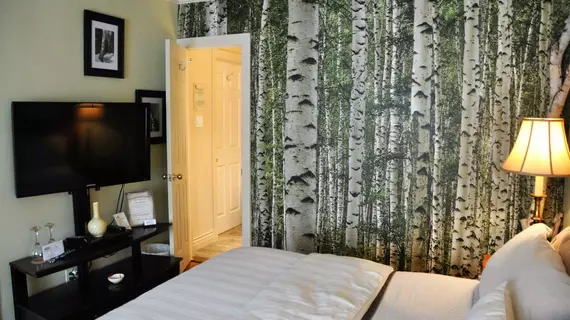 Maison des Jardins B&B | Quebec - Montreal (ve civarı) - Montreal - Le Village gai eş cinsel bölgesi