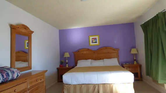 9 Palms Inn | Kaliforniya - San Bernardino County - Twentynine Palms (ve civarı) - Twentynine Palms