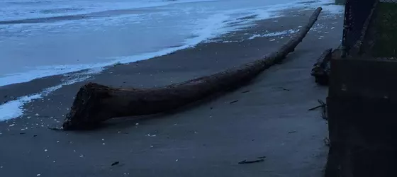 Sandcastle Beachfront Motel | Oregon - Oregon Coast - Lincoln City