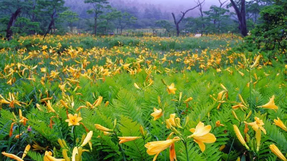 Kyukamura Nasu | Toçigi (idari bölge) - Nasu