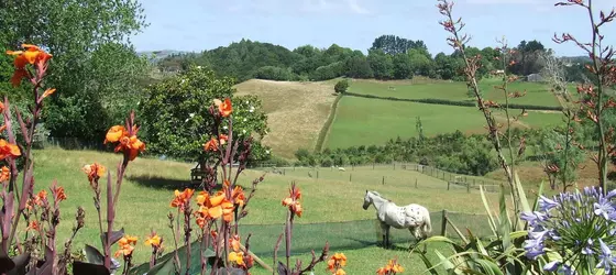 Runciman Berries and Emus B&B | Auckland Bölgesi - Auckland (ve civarı) - Ramarama