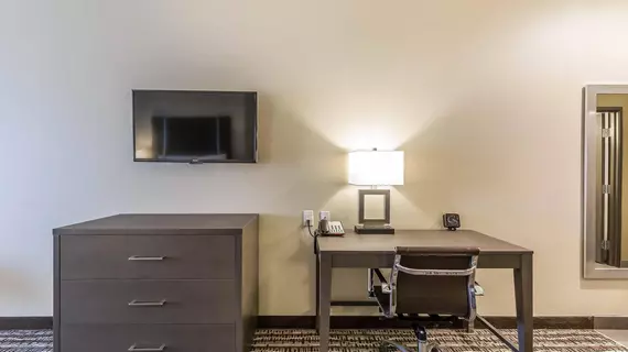 Comfort Suites Northwest Houston at Beltway 8 | Teksas - Houston (ve civarı) - Houston