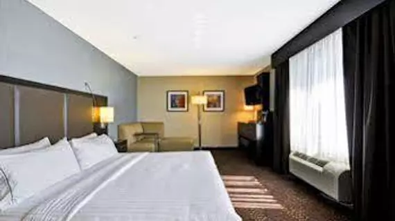 Holiday Inn Express Romulus / Detroit Airport | Michigan - Detroit (ve civarı) - Romulus