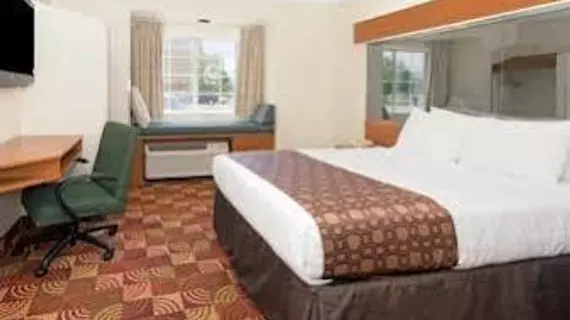 Microtel Inn by Wyndham Denver | Kolorado - Denver (ve civarı) - Denver