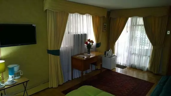 Bed & Breakfast BlumenHaus | Santiago - Santiago (ve civarı) - Providencia