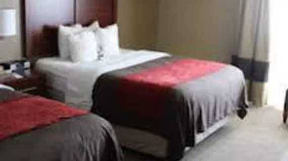 Comfort Inn Central | Kolorado - Denver (ve civarı) - Denver