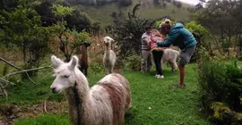 Las Orquídeas | Tungurahua - Banos