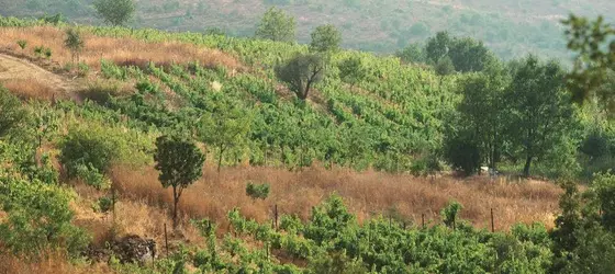 Le Télégraphe de Belle-Vue | Aley District - Bhamdoun