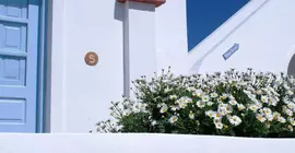 Aethrio | Ege Adaları - Santorini