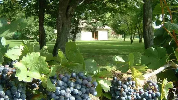 Domaine Maison Dodo | Nouvelle-Aquitaine - Dordogne - Lamonzie-Saint-Martin