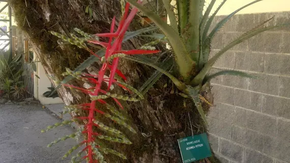 Las Cruces Biological Station | Puntarenas (ili) - San Vito