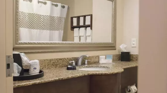 Hampton Inn SavannahHistoric District | Georgia - Savannah (ve civarı) - Savana - Savannah Tarihi Şehir Merkezi