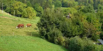 Le Grand Bornand Reservation