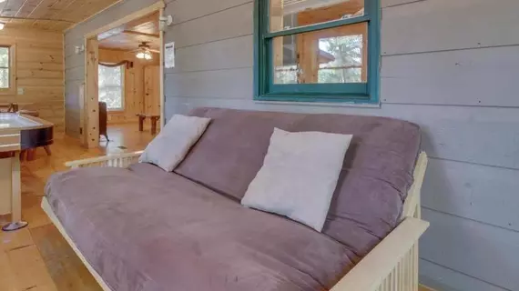 Cherokee Point Cabin | Georgia - Blue Ridge (ve civarı) - Ellijay