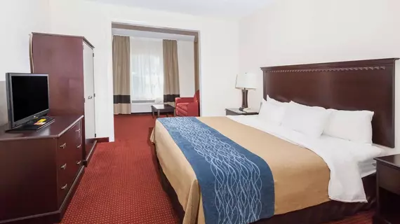 Baymont Inn and Suites Decatur | Alabama - Huntsville (ve civarı) - Decatur