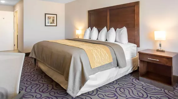 COMFORT INN & SUITES LOVINGTON | New Mexico - Lovington