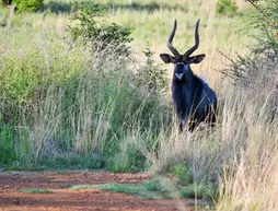 Elements Private Golf Reserve | Limpopo - Waterberg District - Bela-Bela