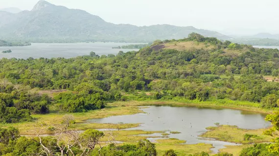 Wild Grass Nature Resort | Merkez Vilayet - Matale Bölgesi - Sigiriya