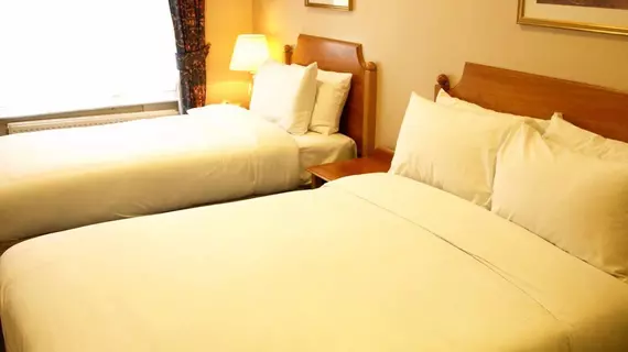 Victor Hotel - B&B | Londra (ve civarı) - City of Westminster - Pimlico