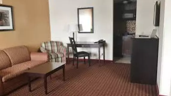 Americas Best Value Inn Romulus/Detroit Airport | Michigan - Detroit (ve civarı) - Romulus