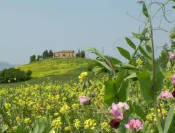 Agriturismo Bonello | Toskana - Siena (vilayet) - Pienza