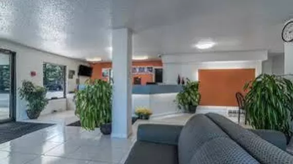 Motel 6 Albany Airport | New York - Albany (ve civarı) - Albany