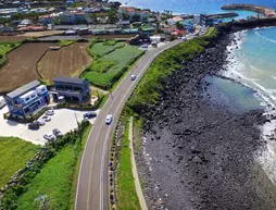 Dalja Pension | Jeju Adası - Jeju - Aewol