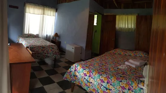 Hotel El Bosque | Puntarenas (ili) - Monteverde