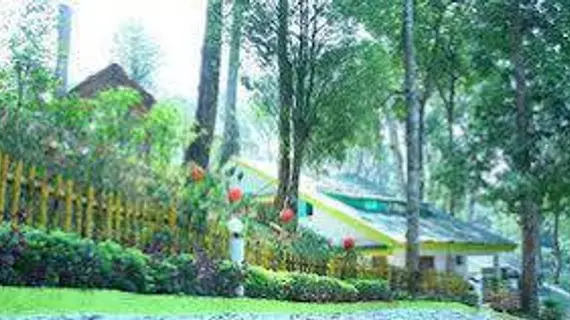 Woodpecker Resort | Kerala - Idukki Bölgesi - Devikolam