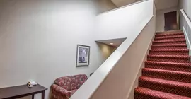 Rodeway Inn and Suites | Connecticut - Torrington (ve civarı) - Torrington