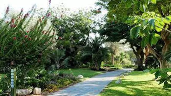 Ein Gedi Kibbutz Hotel | Tamar Bölge Konseyi - Ein Gedi