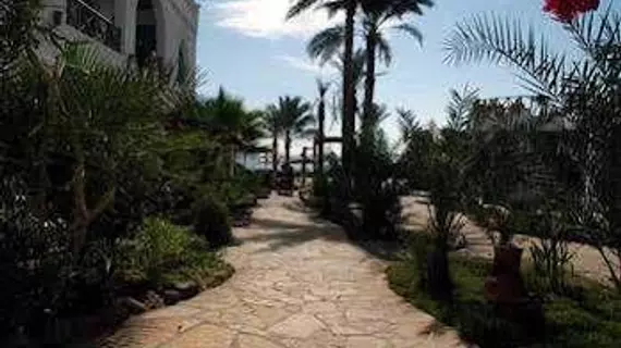 Hotel Planet Oasis | Güney Sina (il) - St. Catherine