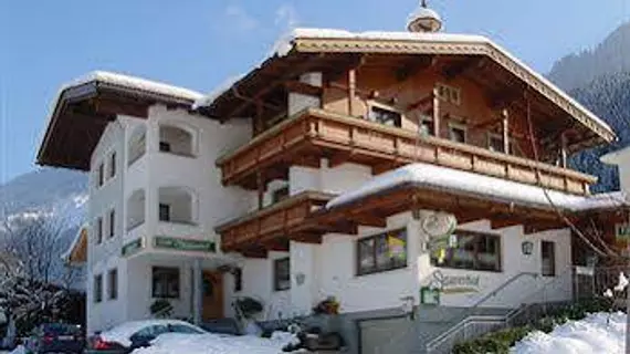 Hotel Gasthof Stoanerhof | Tirol - Schwaz District - Schwaz (ve civarı) - Mayrhofen