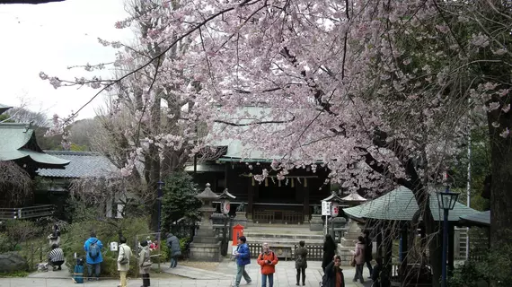 Ueno Terminal Hotel | Tokyo (ve civarı) - Taito