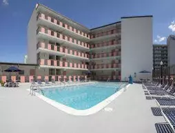 Flamingo Motel | Maryland - Ocean City (ve civarı) - Ocean City - Midtown Ocean City